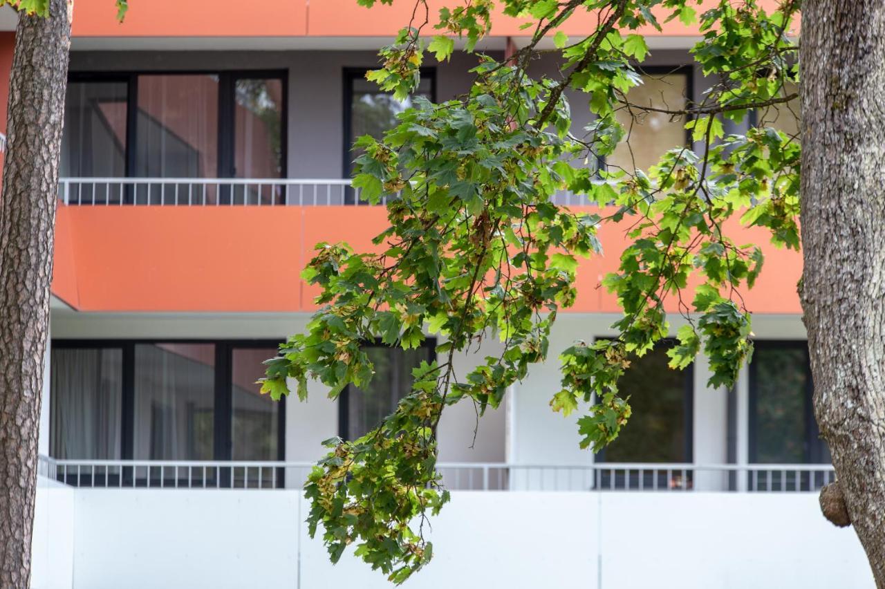 דרוסקינינקאי Violetos Lux Apartamentai2 מראה חיצוני תמונה